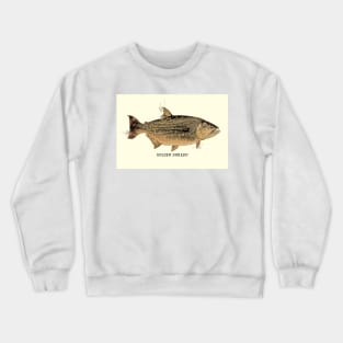 GOLDEN DORADO Vintage Art Sketch for the Fishing Lovers and Anglers Crewneck Sweatshirt